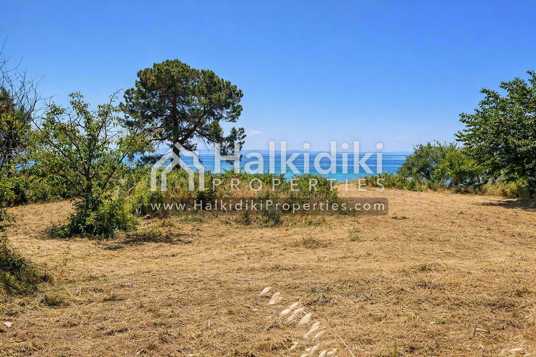 Land in Sithonia, Macedonia and Thrace, Greece 4 - 18203296