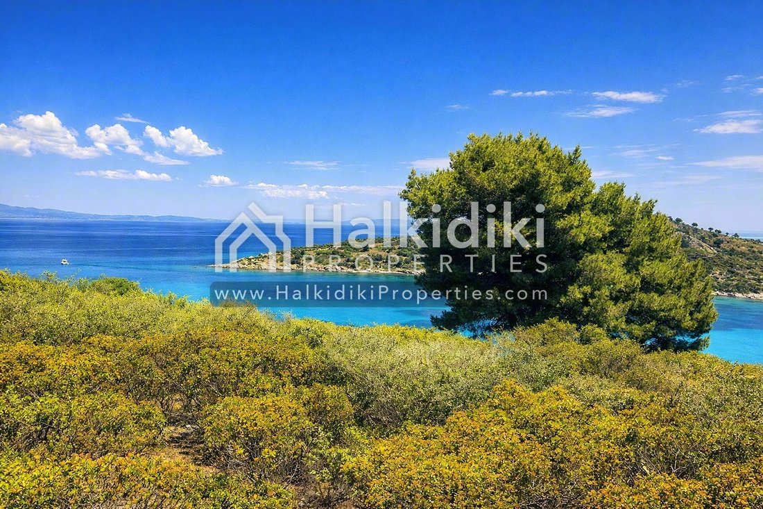 Land in Nisis Dhiaporos, Macedonia and Thrace, Greece 3 - 11865083