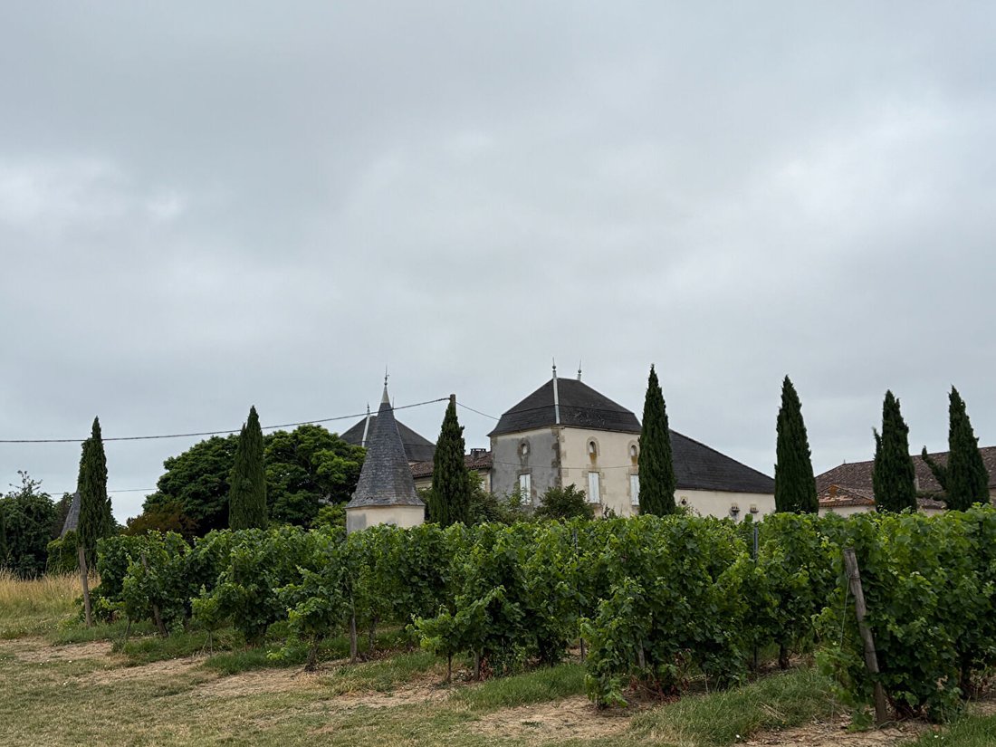 Villa in Massugas, Nouvelle-Aquitaine, France 1 - 18206002