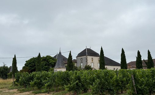 Villa in Massugas, Nouvelle-Aquitaine, France 1