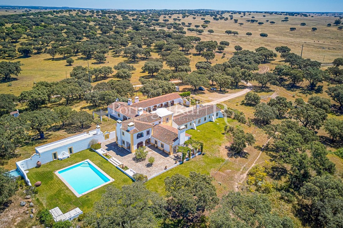 Finca in Monforte, Portalegre District, Portugal 1 - 18205747