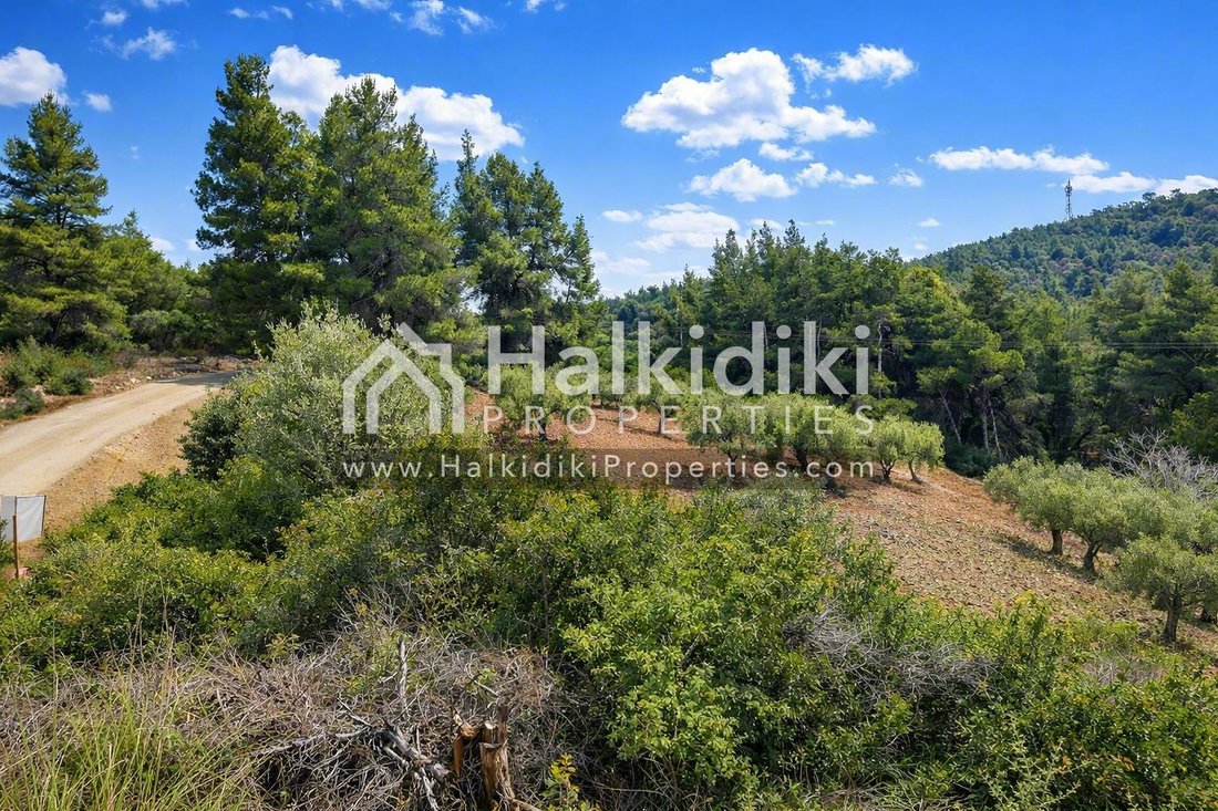 Land in Sithonia, Macedonia and Thrace, Greece 2 - 18203155