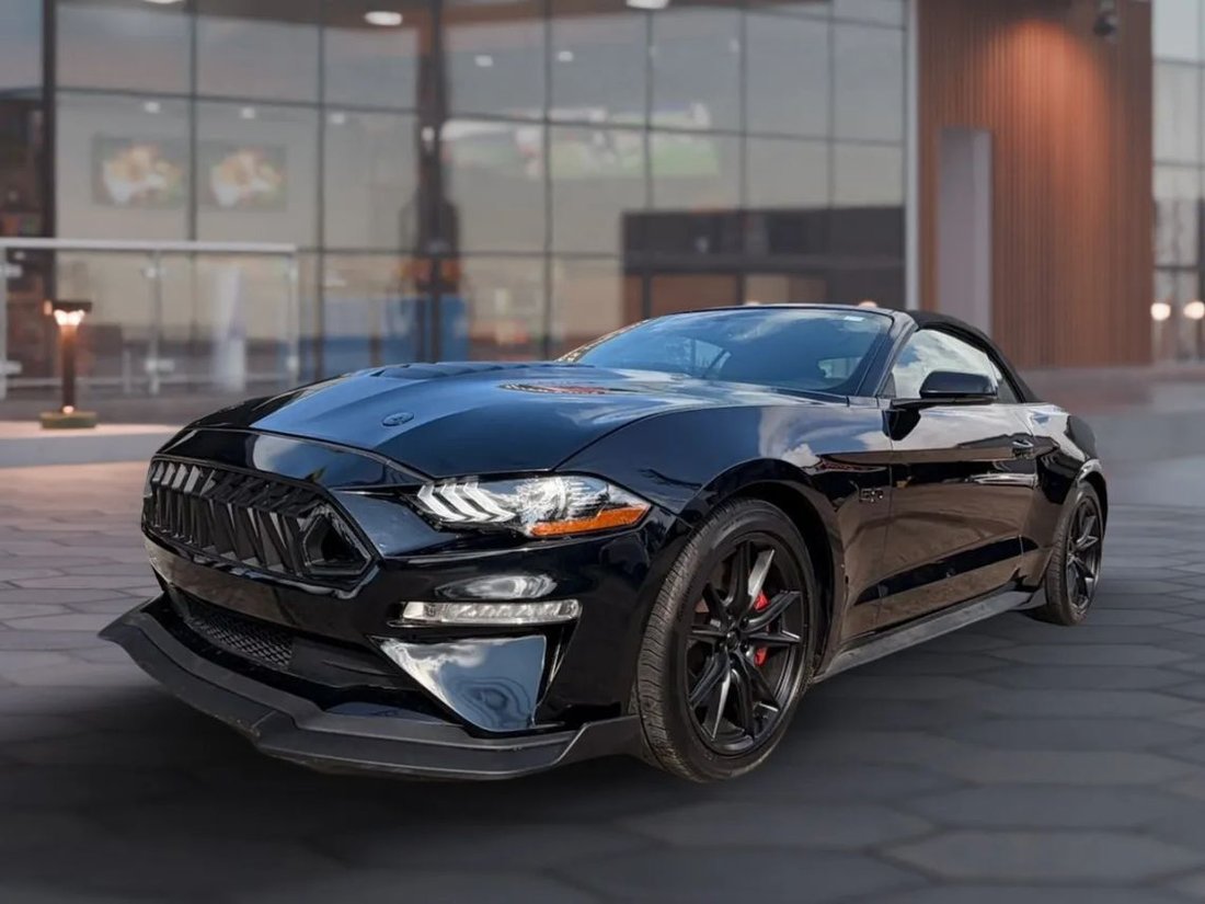 Cabriolet in Houston, TX, United States 4 - 18049081