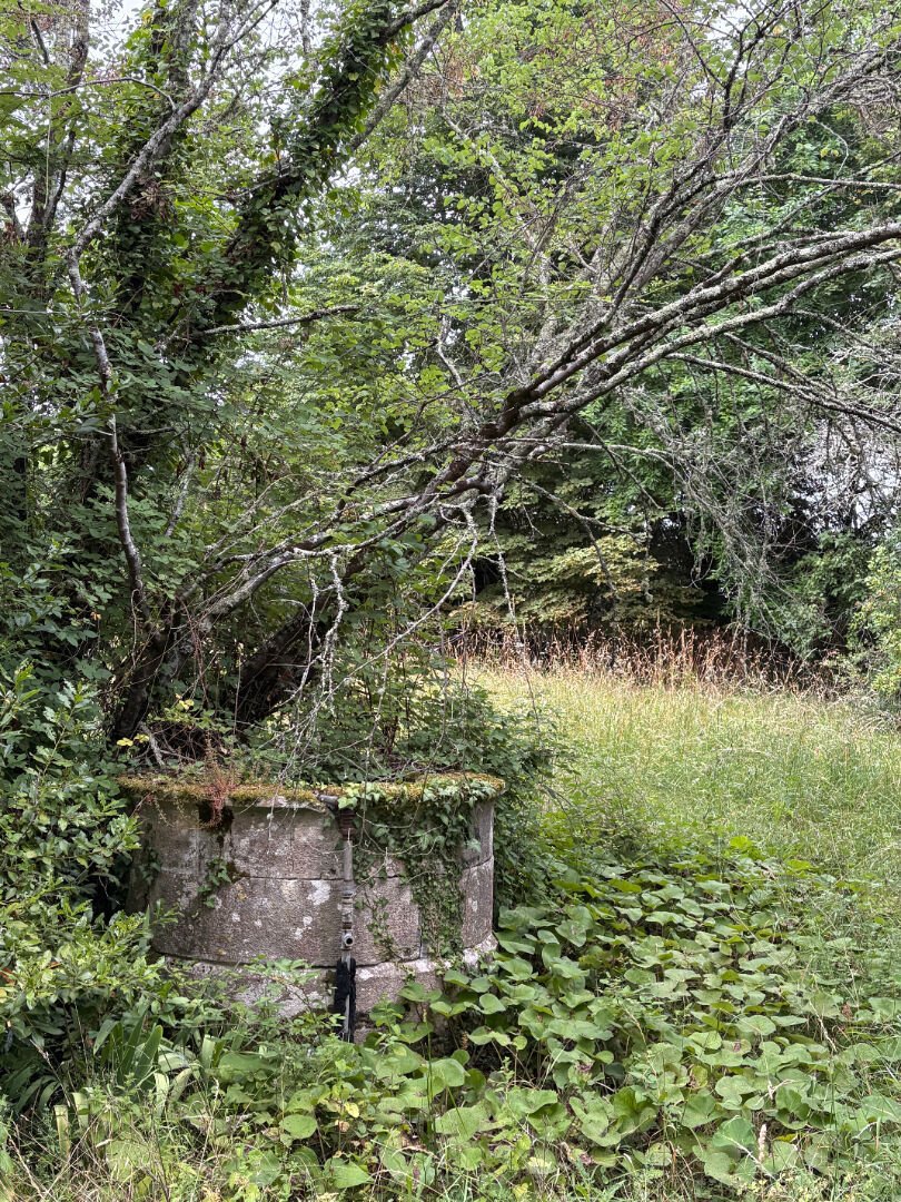 Villa in Soussac, Nouvelle-Aquitaine, France 4 - 18206012