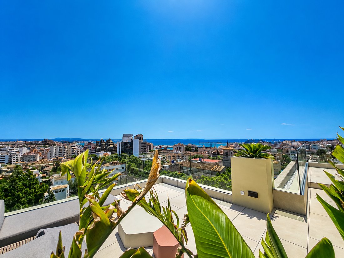 Apartment in Palma, Balearic Islands, Spain 3 - 18199759