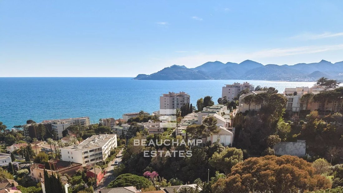 Villa in Cannes, Provence-Alpes-Côte d'Azur, France 1 - 17853197
