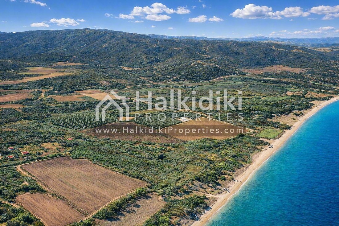 Land in Aristotle, Macedonia and Thrace, Greece 4 - 18203087