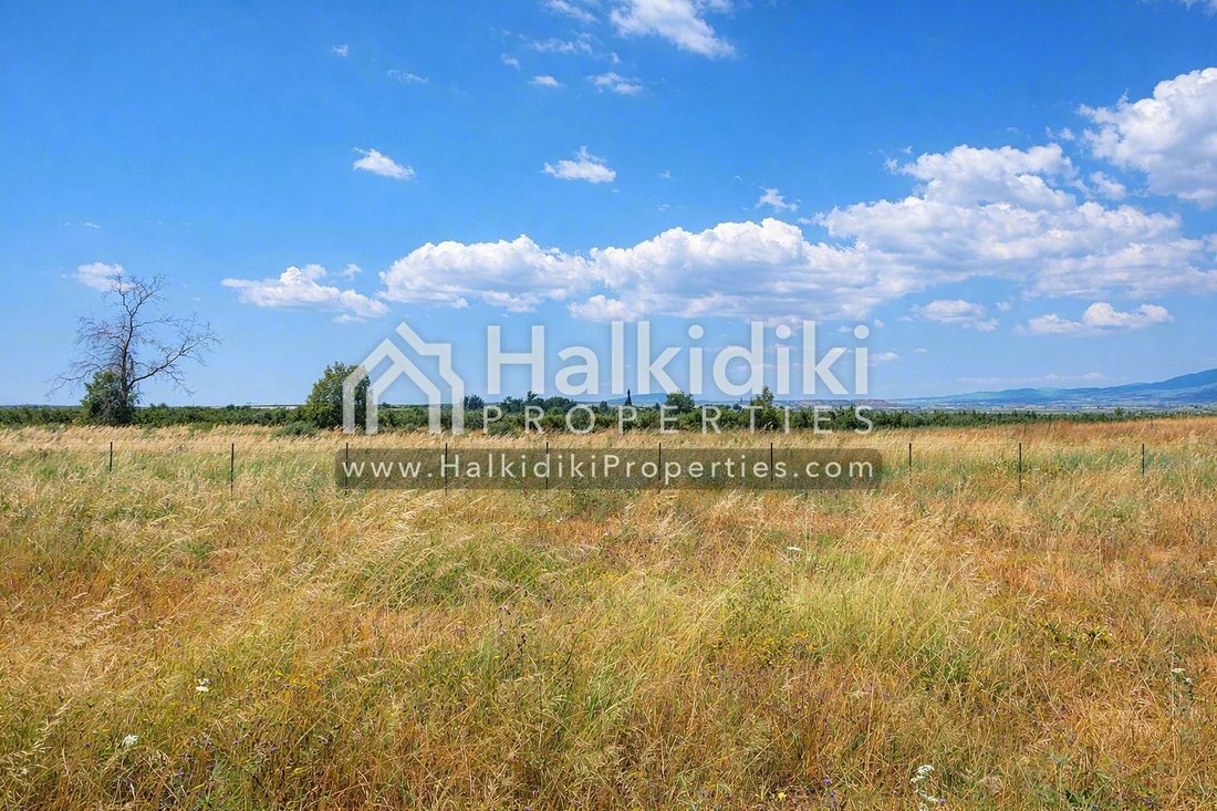 Land in Polygyros, Macedonia and Thrace, Greece 3 - 18203315