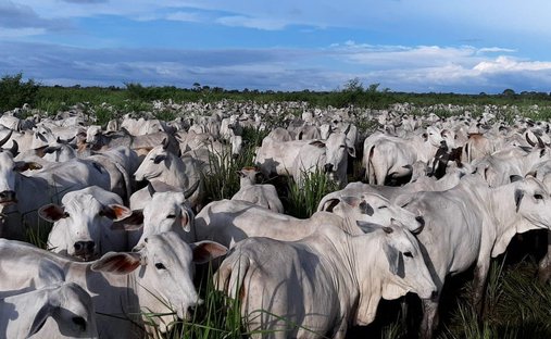 Corps de ferme en France 1