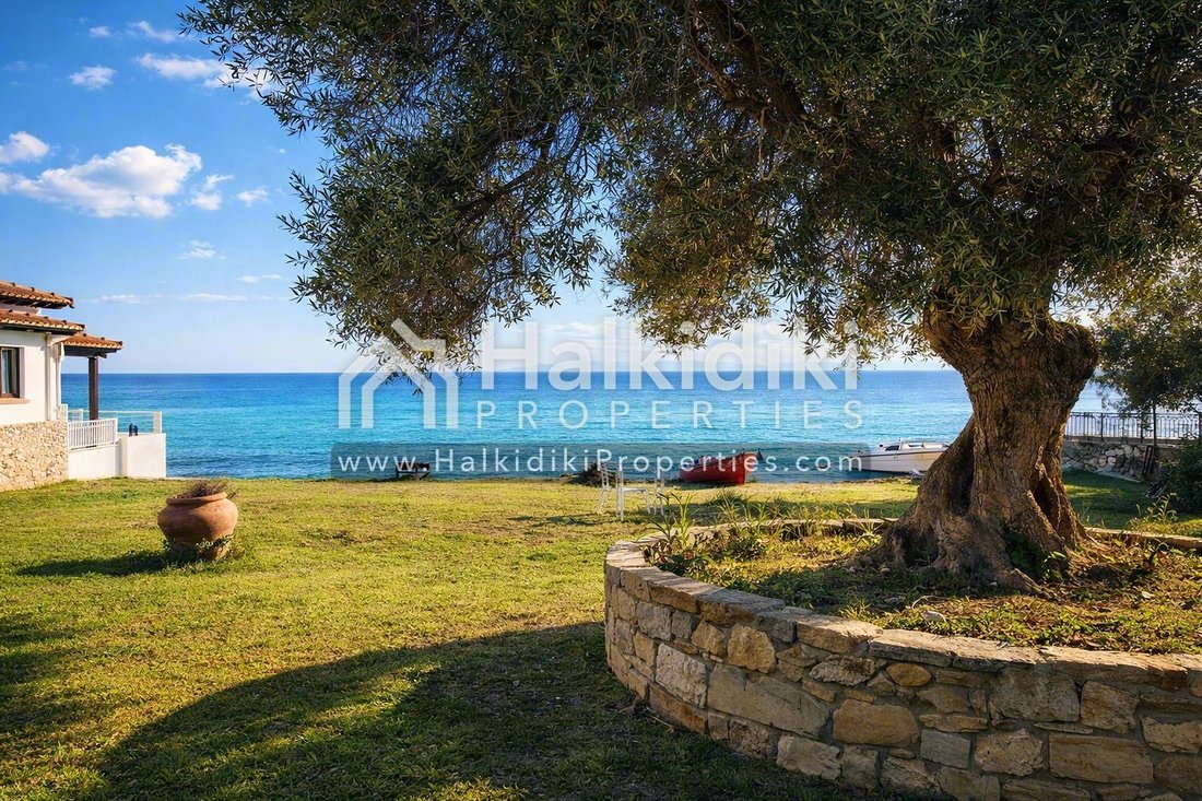 Land in Kassandra, Macedonia and Thrace, Greece 5 - 18203251