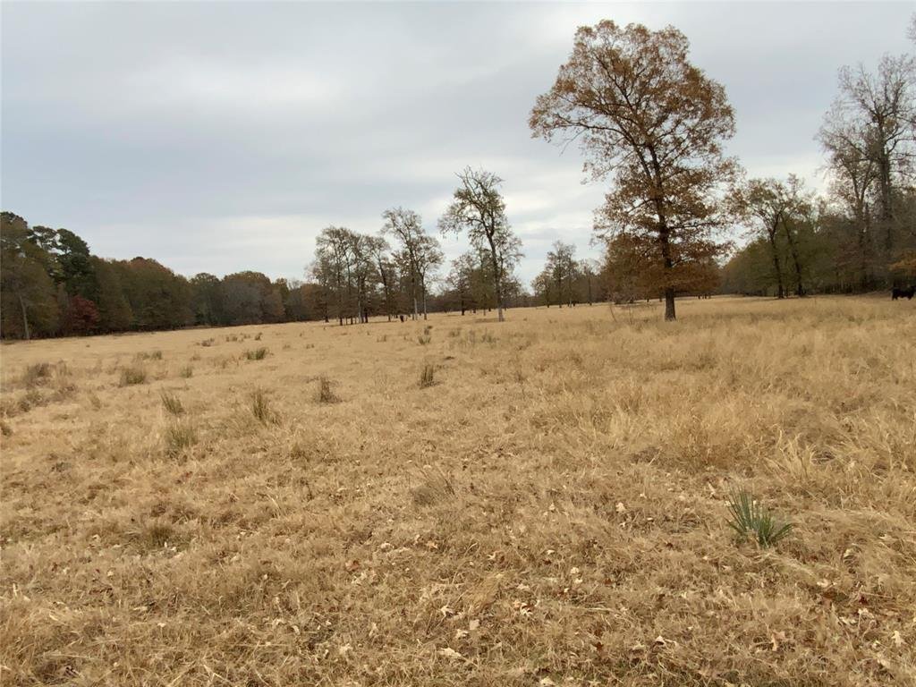 House in Longview, Texas, United States 4 - 18205203