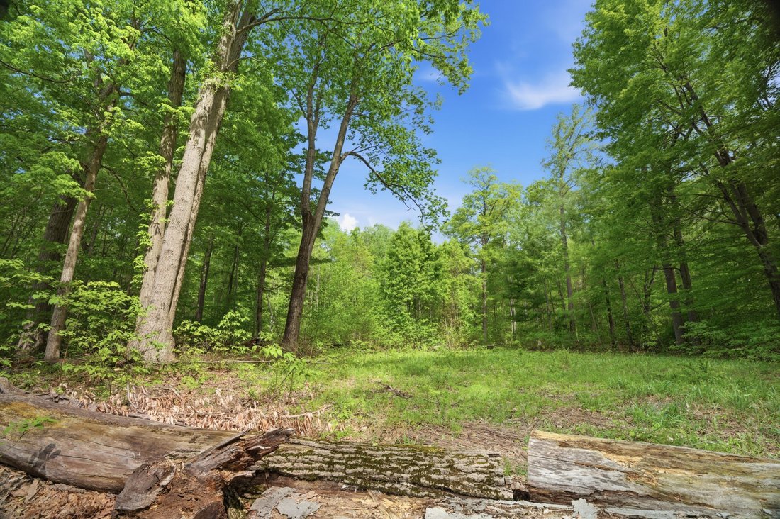 Land in Three Oaks, Michigan, United States 5 - 18205573