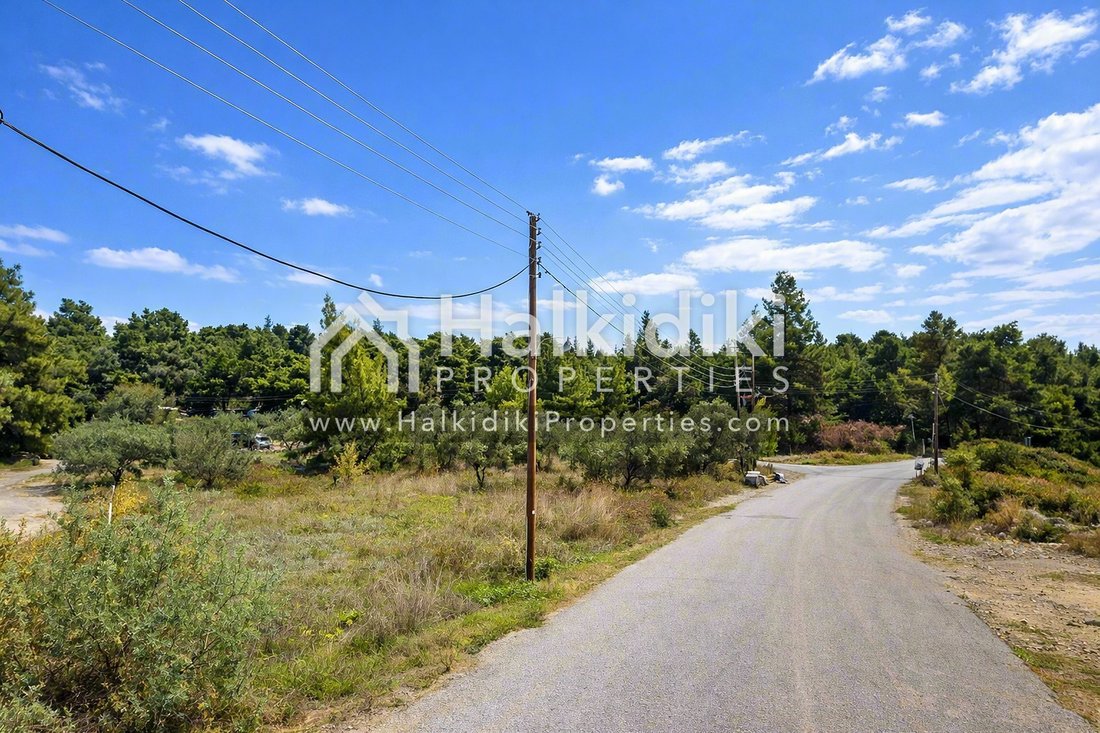 Land in Sithonia, Macedonia and Thrace, Greece 5 - 18203309