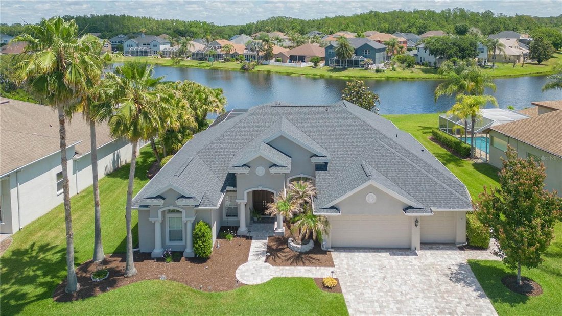 House in Wesley Chapel, Florida, United States 1 - 18199504