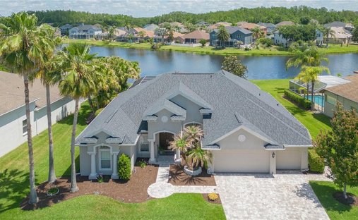House in Wesley Chapel, Florida, United States 1