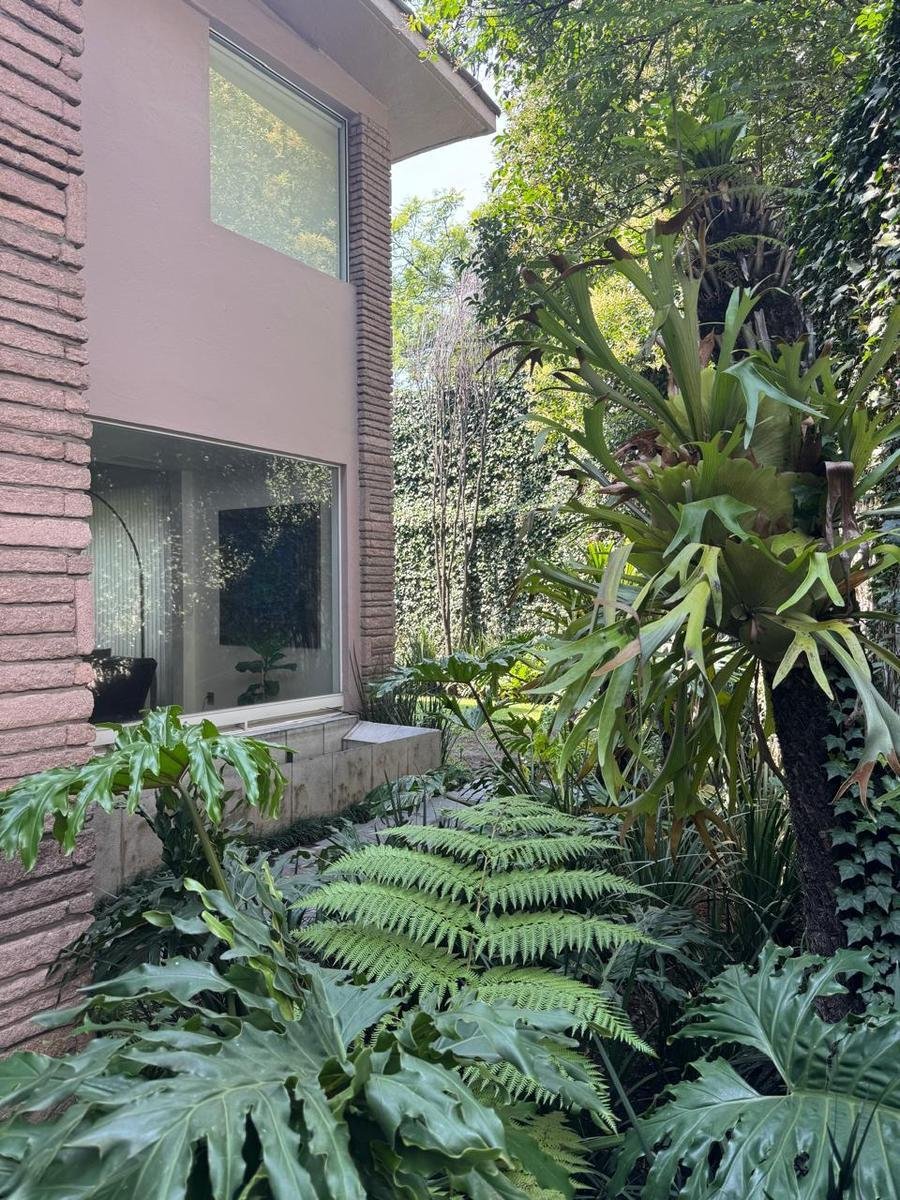 House in Mexico City, Mexico 1 - 18199547