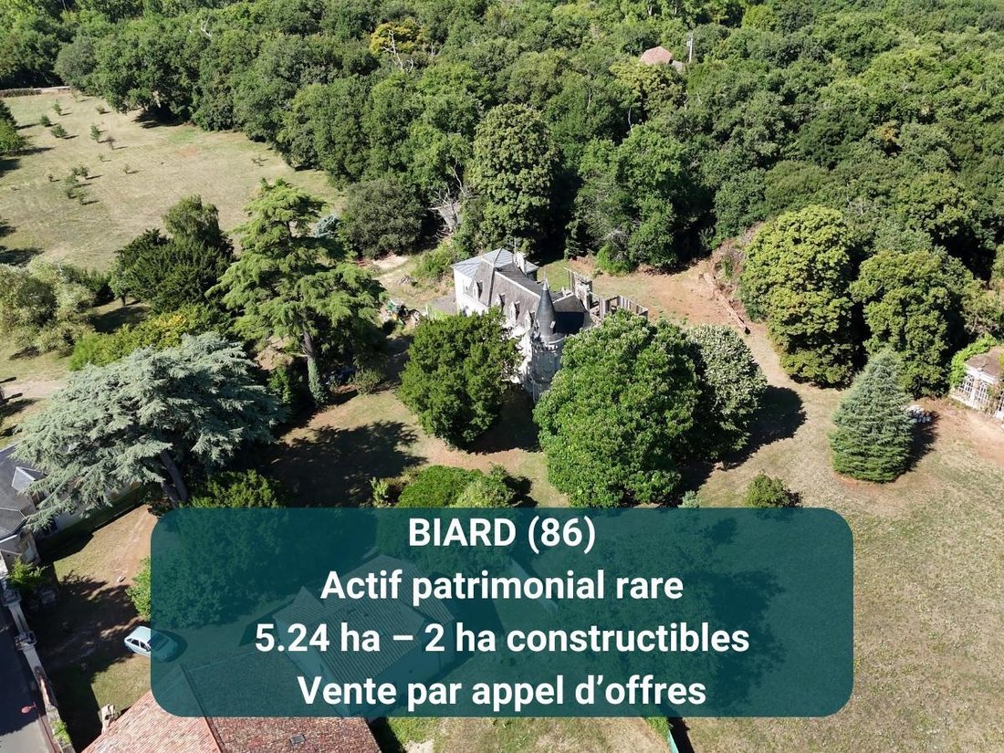 Estate in Biard, Nouvelle-Aquitaine, France 1 - 18200970