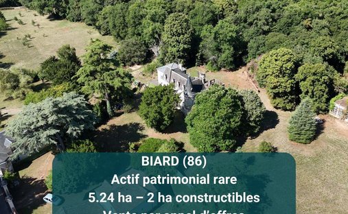 Tenuta a Biard, Nuova Aquitania, Francia 1