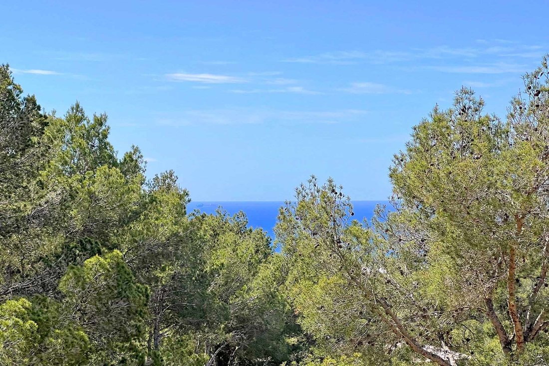 Land in Camp de Mar, Mallorca, Andratx, Balearische Inseln 2 - 18199705
