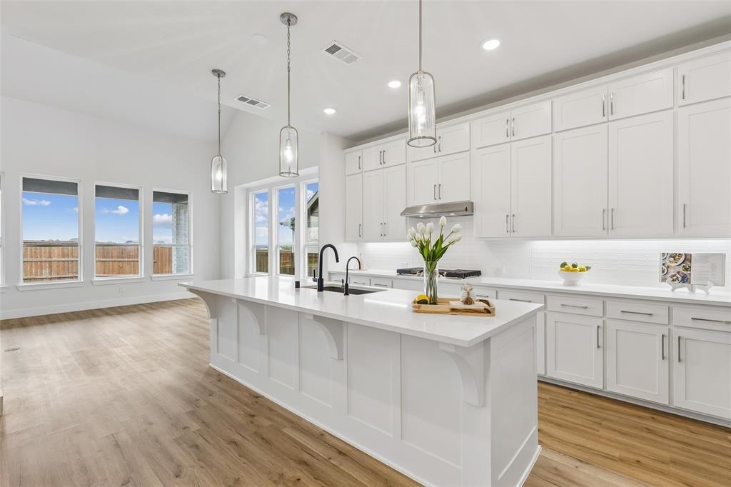 House in Cross Roads, Texas, United States 4 - 18205160