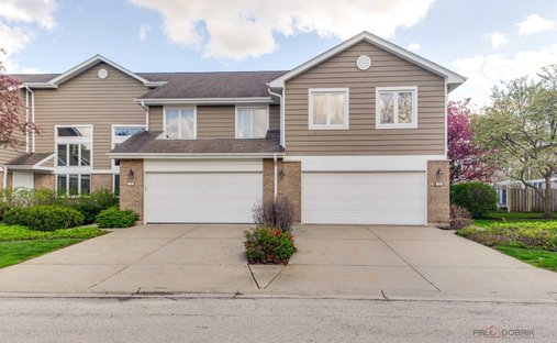 House in Buffalo Grove, Illinois, United States 1