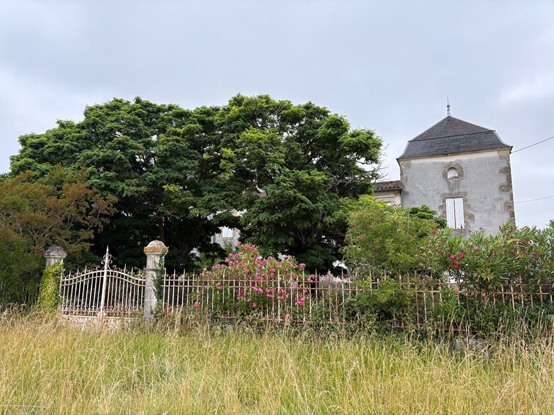 Villa in Massugas, Nouvelle-Aquitaine, France 3 - 18206002