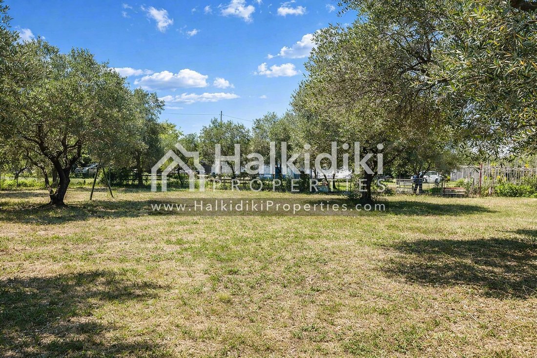 Land in Sithonia, Macedonia and Thrace, Greece 3 - 18203281