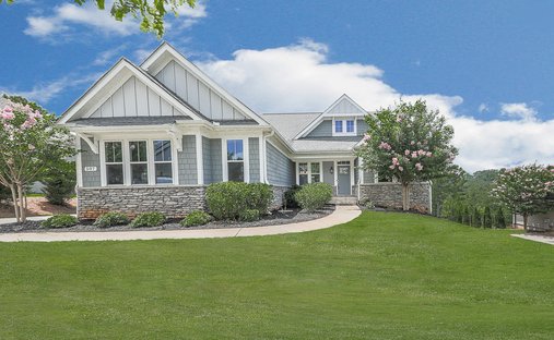 House in Canton, Georgia, United States 1