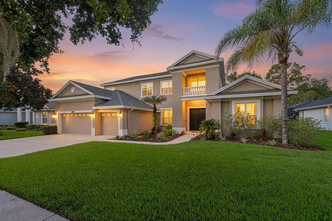 House in Riverview, Florida, United States 1 - 18202166