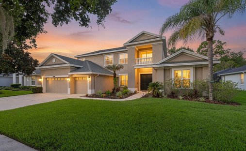 House in Riverview, Florida, United States 1
