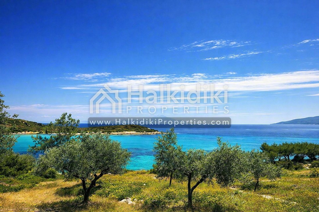 Land in Nisis Dhiaporos, Macedonia and Thrace, Greece 5 - 11865083