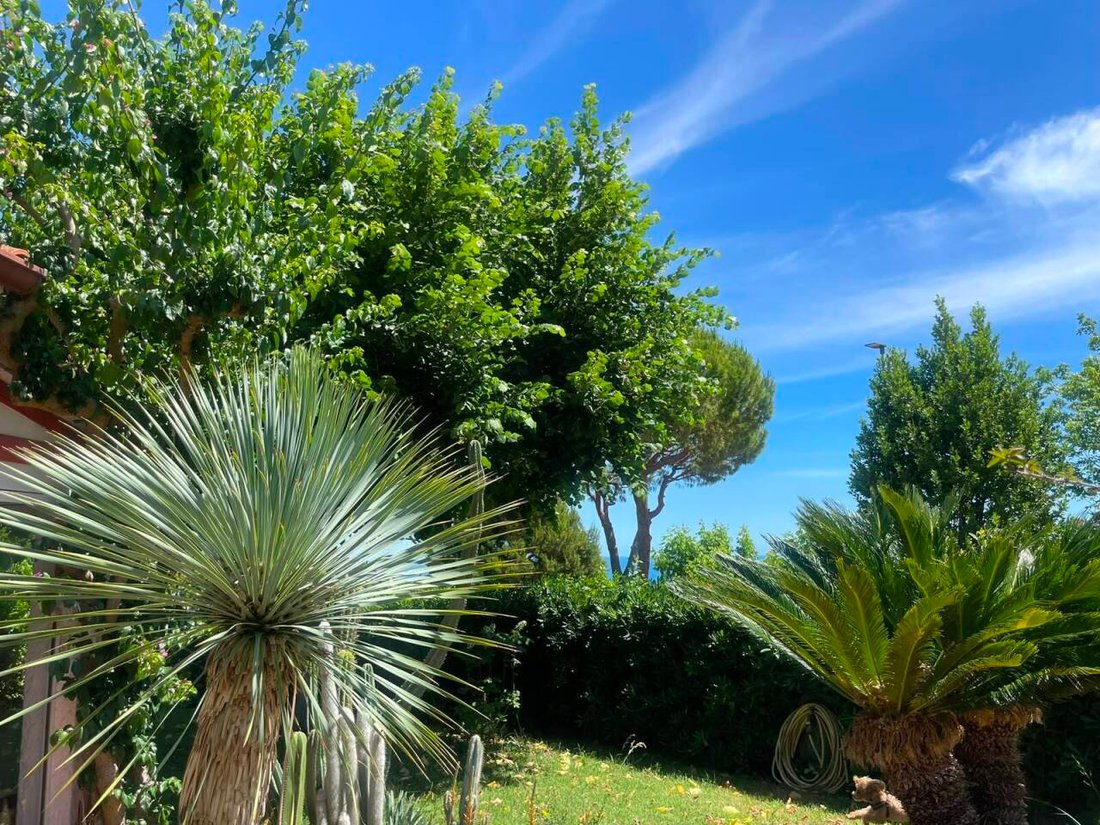 Villa in Numana, Marche, Italy 5 - 18203113