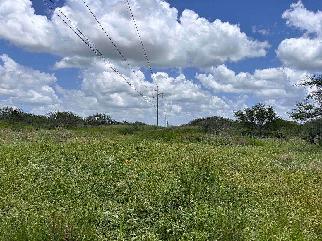 Land in Realitos, Texas, United States 3 - 18204086