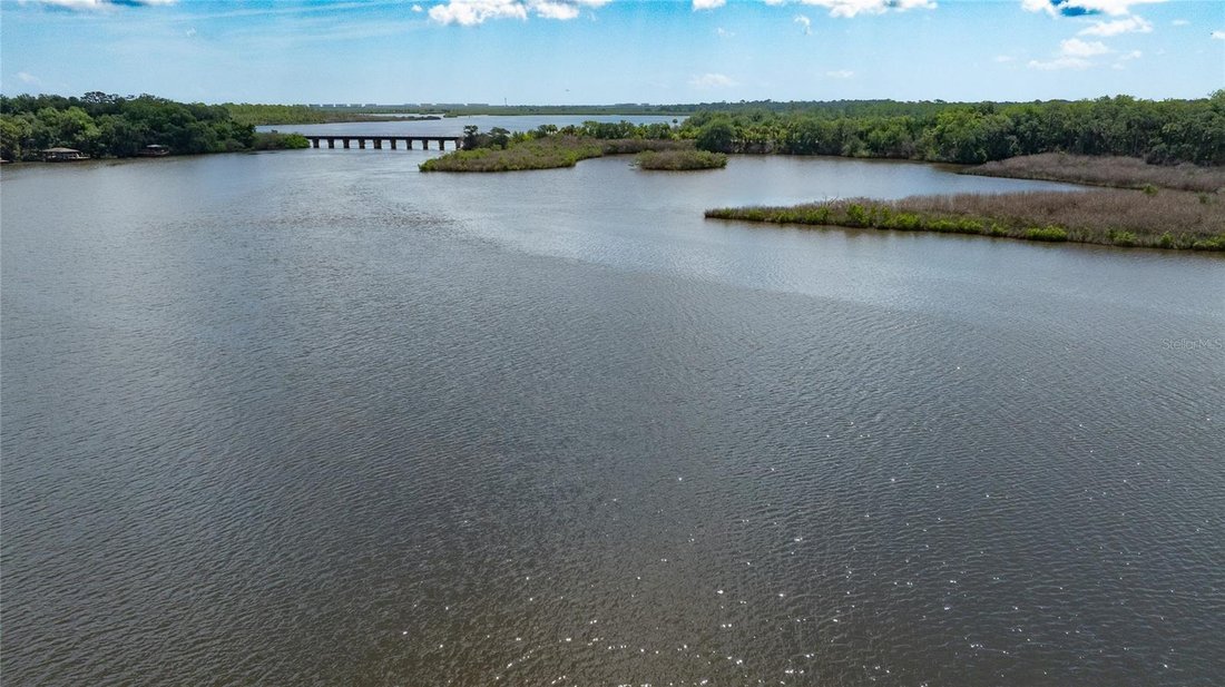 Casa a Port Orange, Florida, Stati Uniti 4 - 18203817