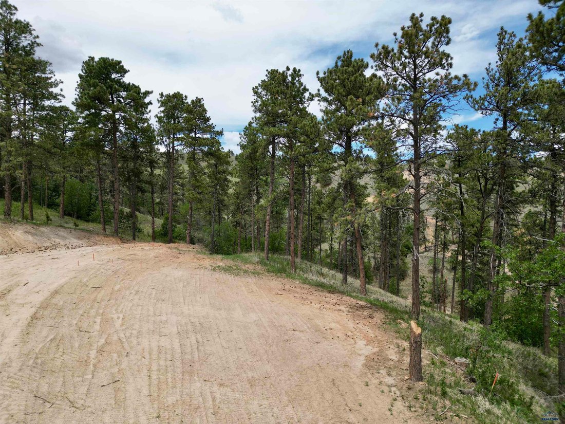 Land in Colonial Pine Hills, South Dakota, United States 4 - 18205534