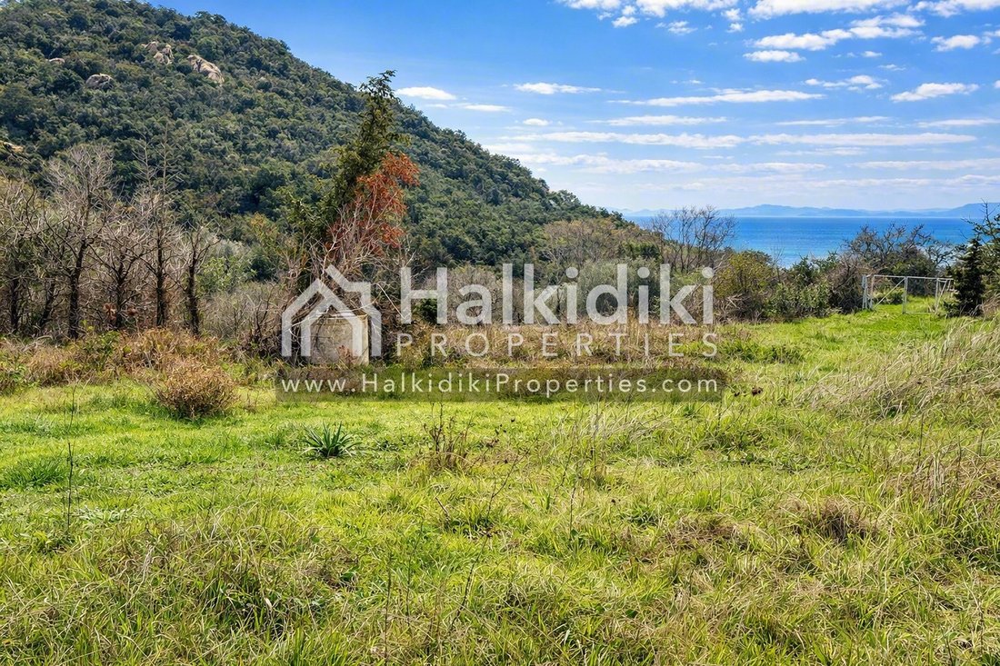Land in Aristotle, Macedonia and Thrace, Greece 5 - 18203170