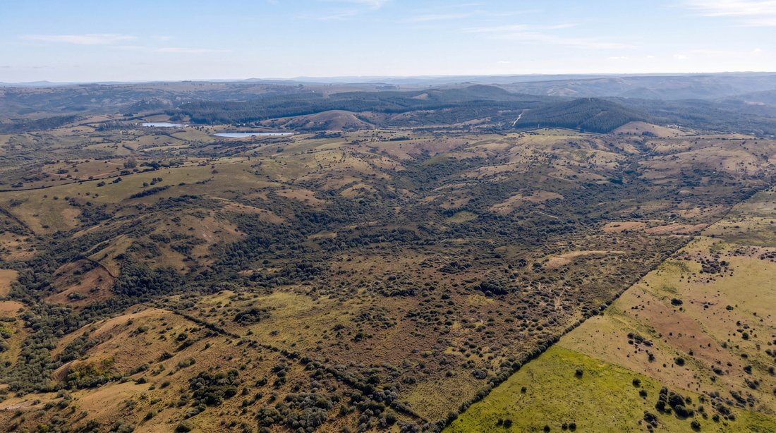 San Carlos, Maldonado Department, Uruguay 2 - 18205853