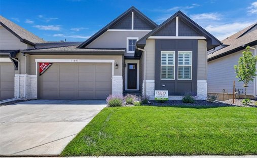 House in Littleton, Colorado, United States 1