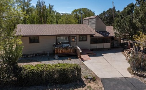 Maison à Buena Vista, Colorado, États-Unis 1