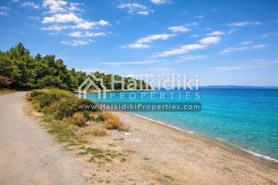 Land in Sithonia, Macedonia and Thrace, Greece 2 - 18203309