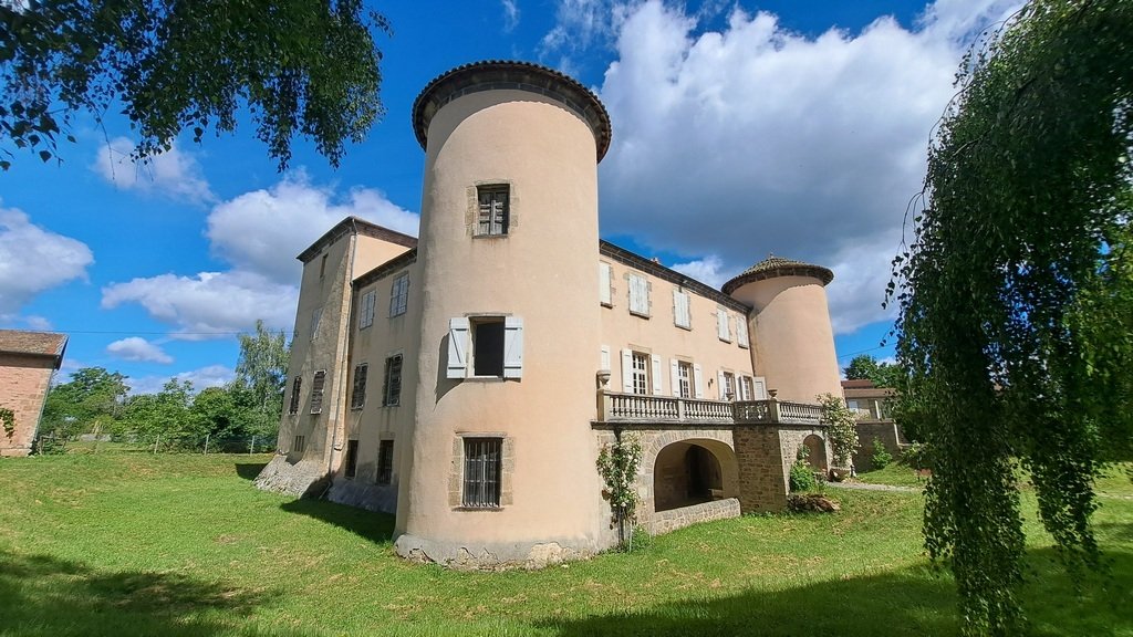 Castle in Courpiere, Auvergne-Rhône-Alpes, France 4 - 18200744