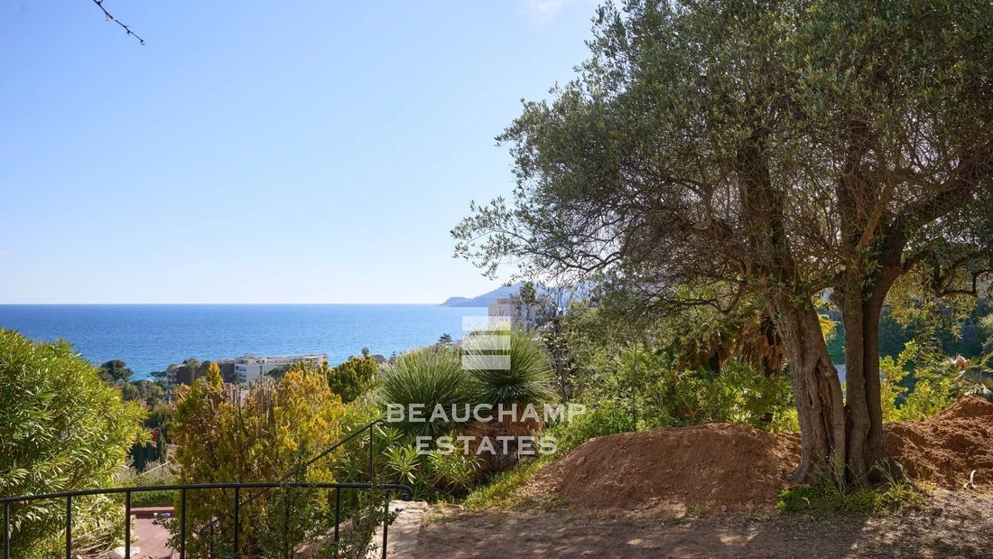 Villa in Cannes, Provence-Alpes-Côte d'Azur, France 4 - 17853197