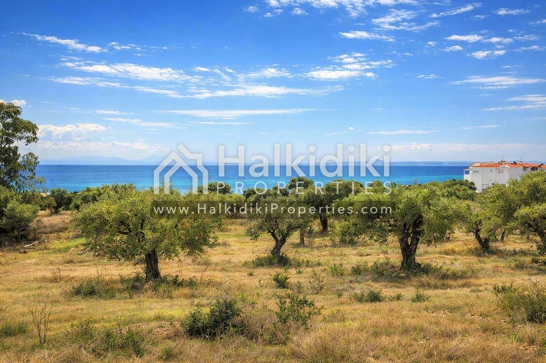 Land in Polygyros, Macedonia and Thrace, Greece 4 - 11865039