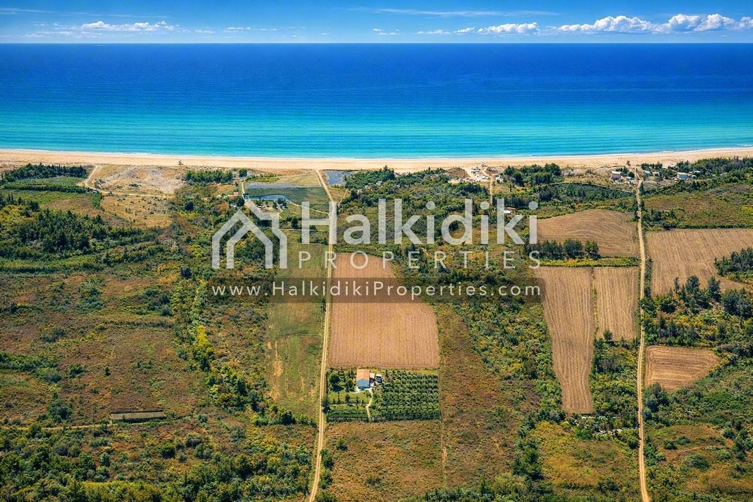 Land in Aristotle, Macedonia and Thrace, Greece 2 - 18203087