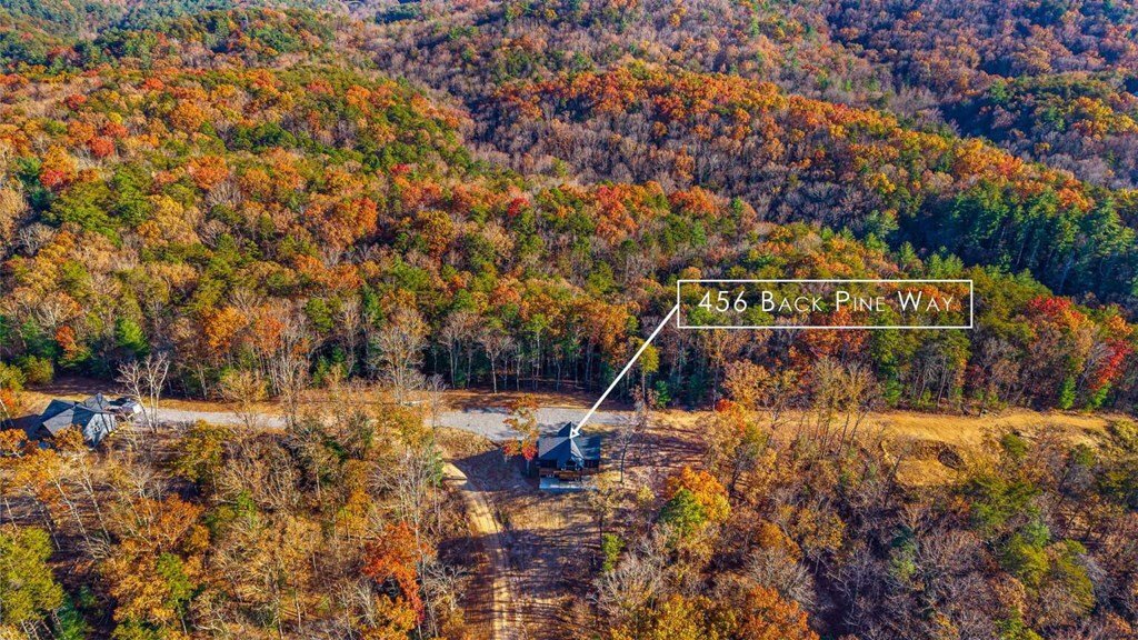 House in Ellijay, Georgia, United States 4 - 17932576