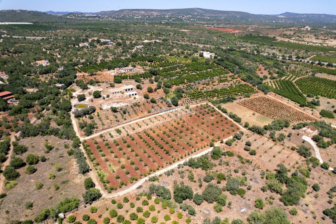 Finca in Sao Bartolomeu de Messines, Algarve, Portugal 4 - 17358125