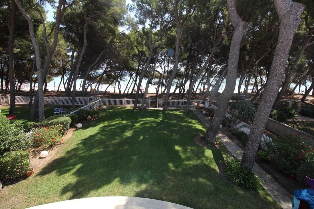 Villa in Alcudia, Balearic Islands, Spain 5 - 18199832