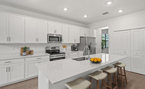 House in Parrish, Florida, United States 1