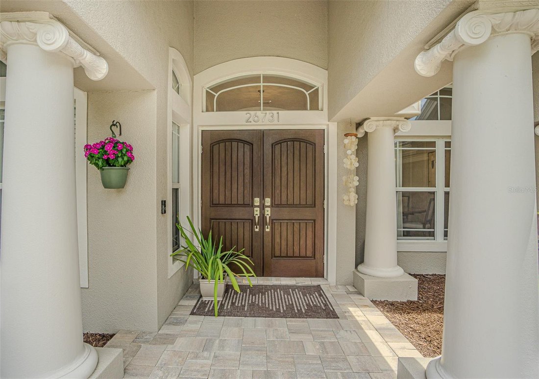 House in Wesley Chapel, Florida, United States 4 - 18199504