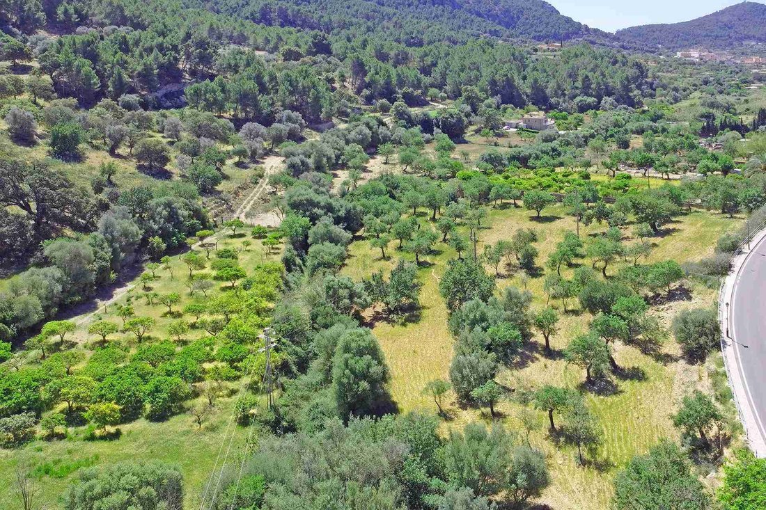 Land in Andratx, Balearic Islands, Spain 2 - 18203391